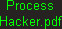 Process Hacker.pdf