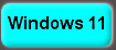 Windows 11